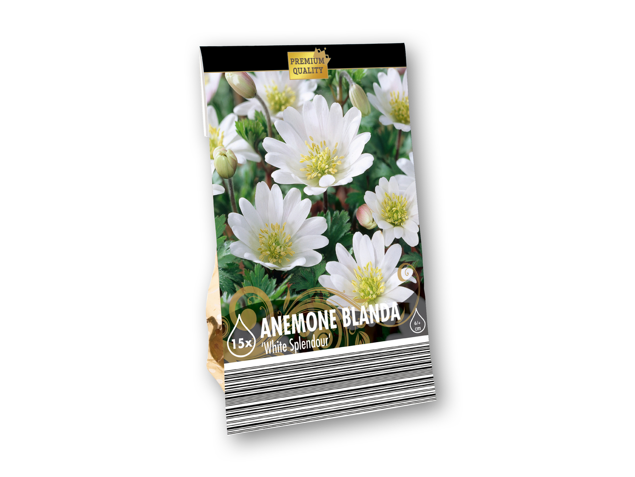 Blomsterløg Premium