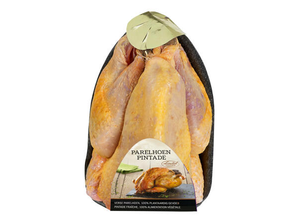 Pintade