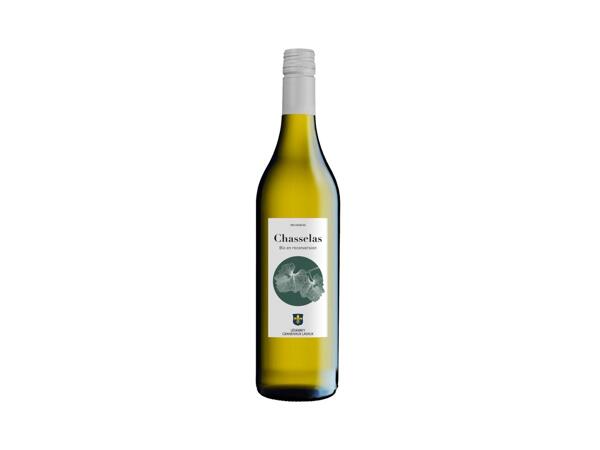Chasselas Bio en reconversion