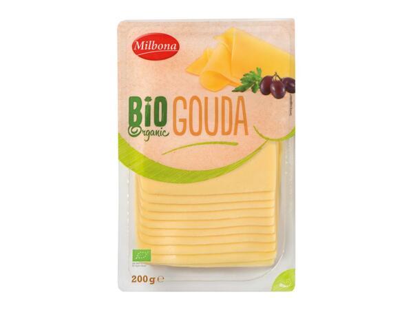 BIO SÝR