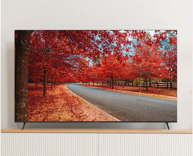 75" 4K Ultra HD webOS Smart TV
