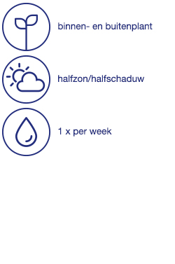 Allerheiligencompositie