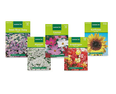 Packet Seeds Assorted