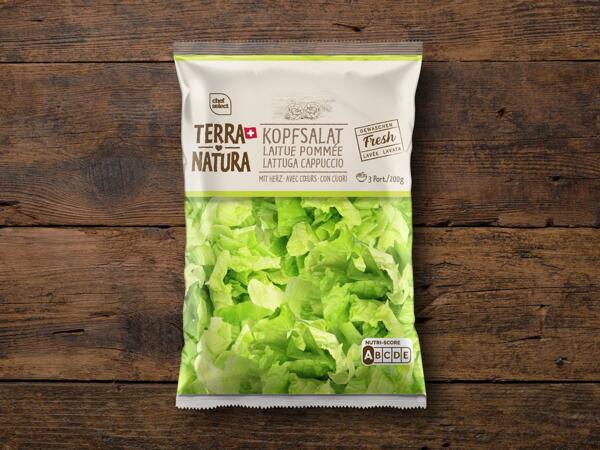 Kopfsalat Terra Natura