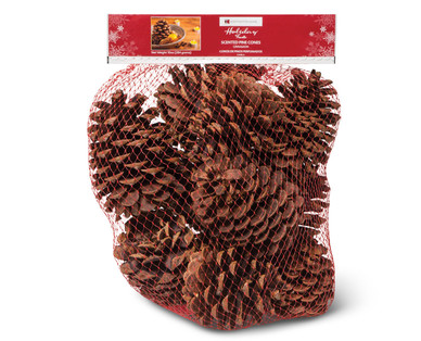 Huntington Home Cinnamon-Scented Pine Cones