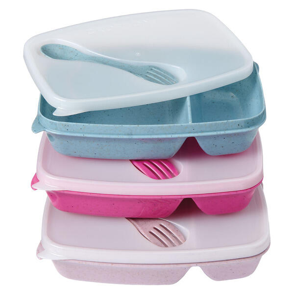 Crofton Blue/Purple 2 Compartment Container
