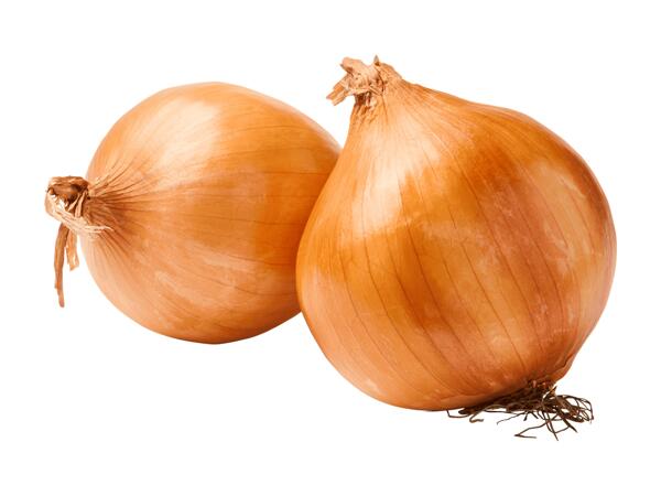 Oignons jaunes suisses bio