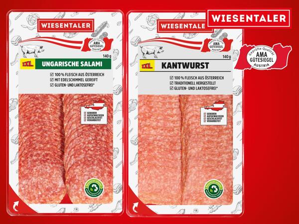 Ungarische Salami oder Kantwurst