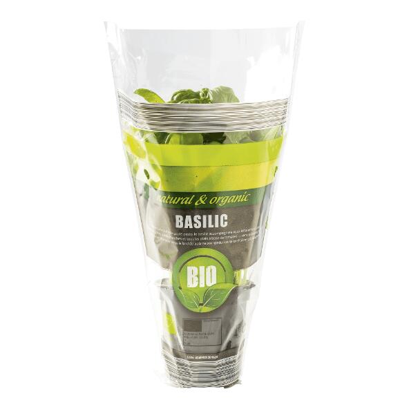 Basilic bio