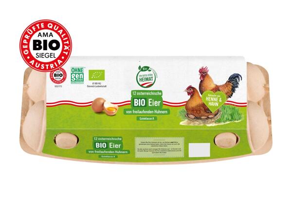 Bio Eier