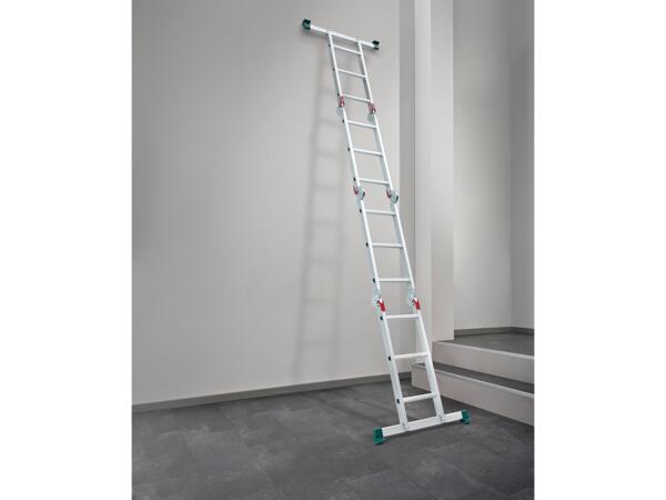 Multi-Purpose Ladder