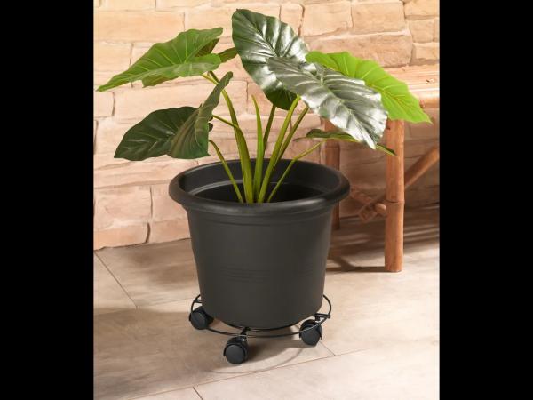Plant roller with castors