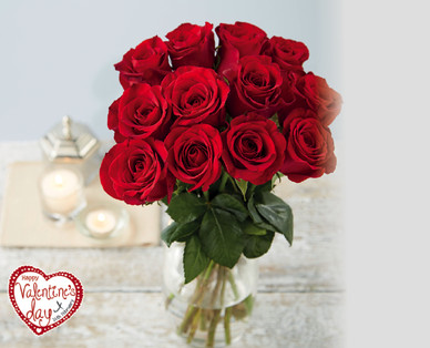 Dozen Luxury Freedom Roses†