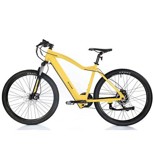ALLEGRO Invisible E-MTB AXIM°03 19", Corn