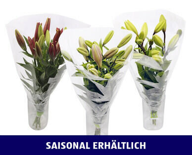 LILIEN