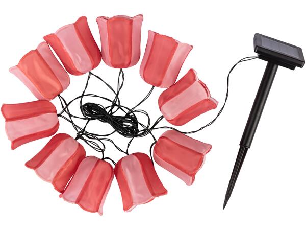 LED Solar Summer String Lights
