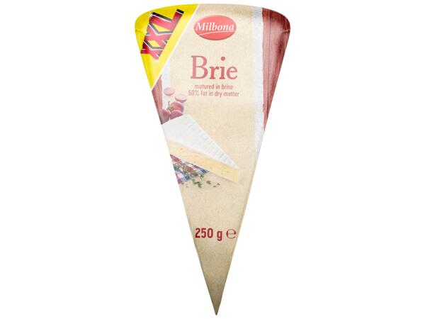 Brie Cheese XXL