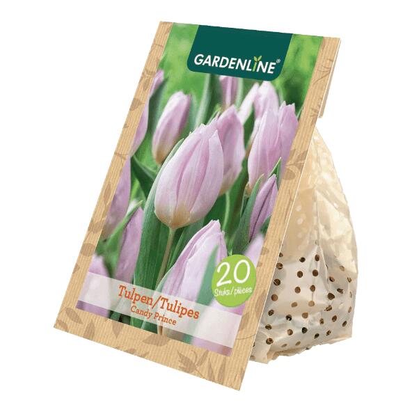 GARDENLINE(R) Tulpenzwiebeln, 20 St.