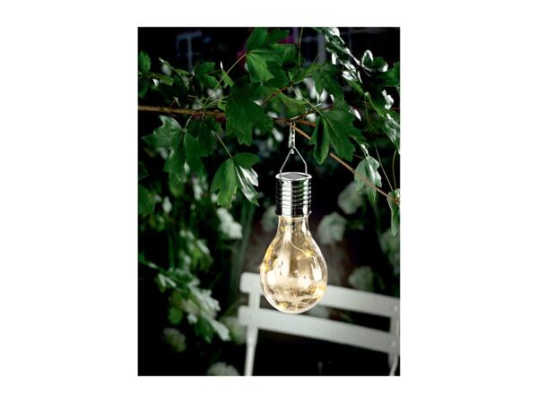 Livarno Home Decorative Solar Light