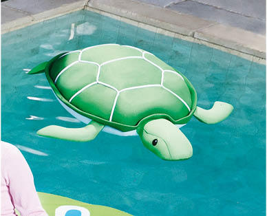 Pool Buddies