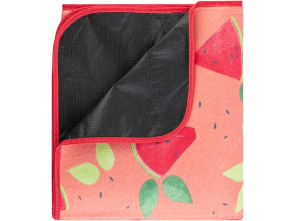Picnic Blanket