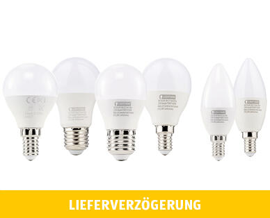 LIGHTWAY 
 LED-LEUCHTMITTEL, DIMMBAR