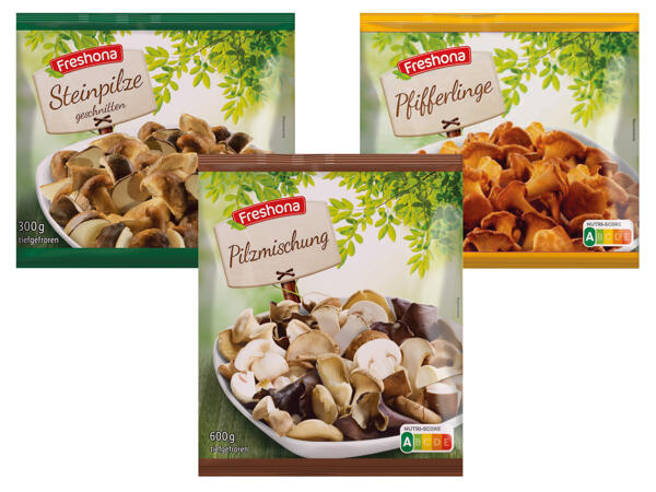 Wald Pilze