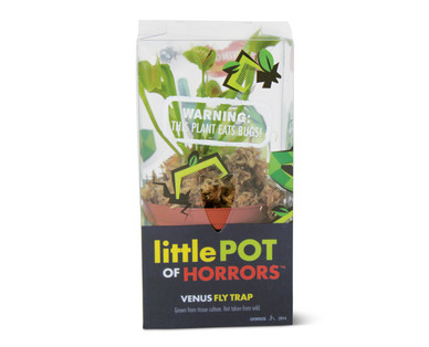 Venus Fly Trap