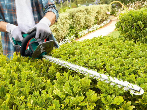 Cordless Hedge Trimmer 20V