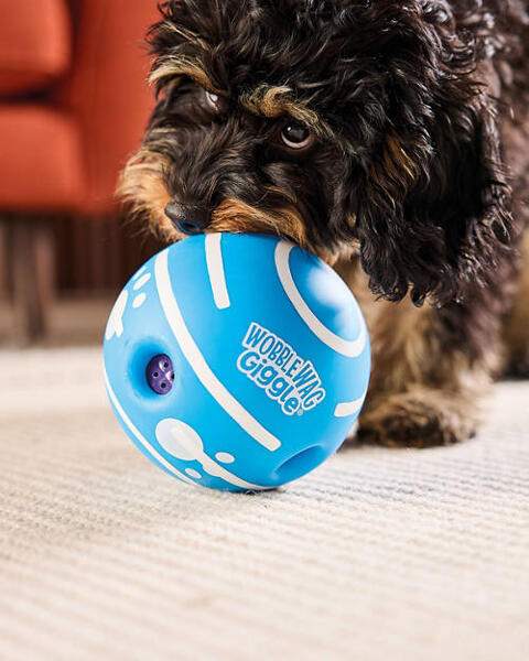 Wobblewag Giggleball