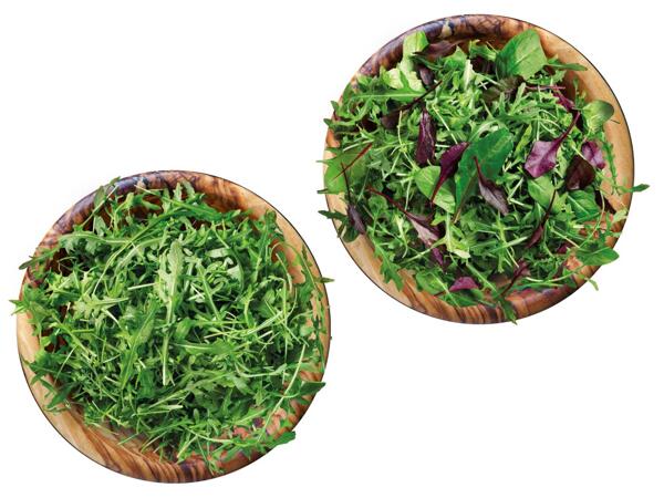 Mix-Salat oder Rucola