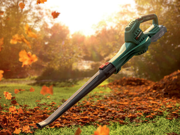 Cordless Leaf Blower