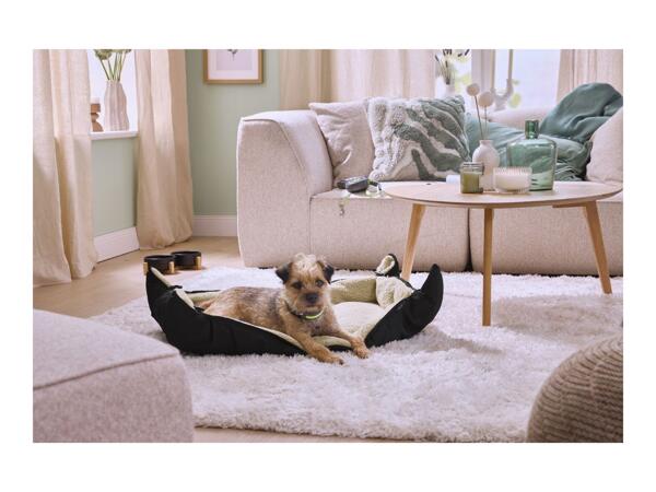 Zoofari Rectangular Dog Bed