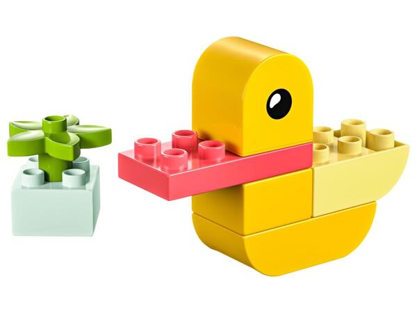 Constructions