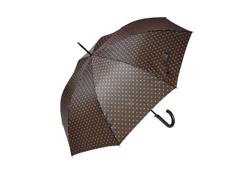 Regenschirm