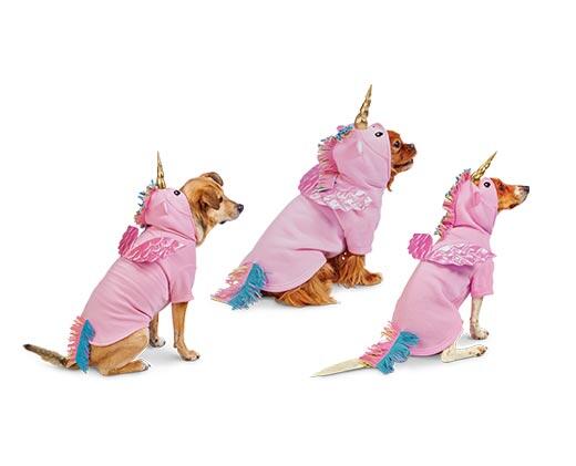 Heart to Tail 
 Pet Halloween Hoodie Costume