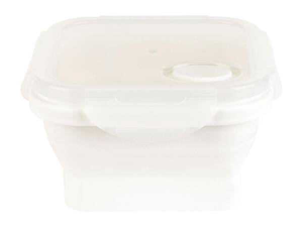 Ernesto Collapsible Square Food Storage Containers - Set of 4