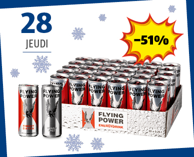 Boisson énergisante FLYING POWER