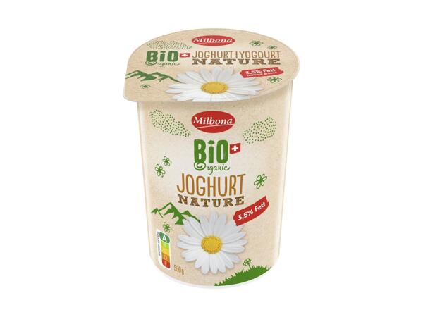 Yogourt nature bio 3,5%