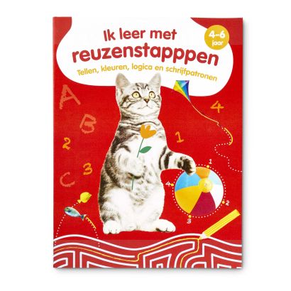 Oefen- en spelletjesboek