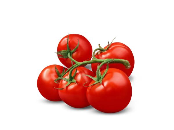 Vine Tomatoes