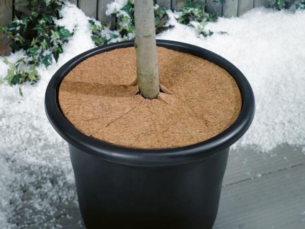 Plant Fleece Protection or Slab Set