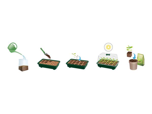 Parkside Organic Herbs Mini-Greenhouse