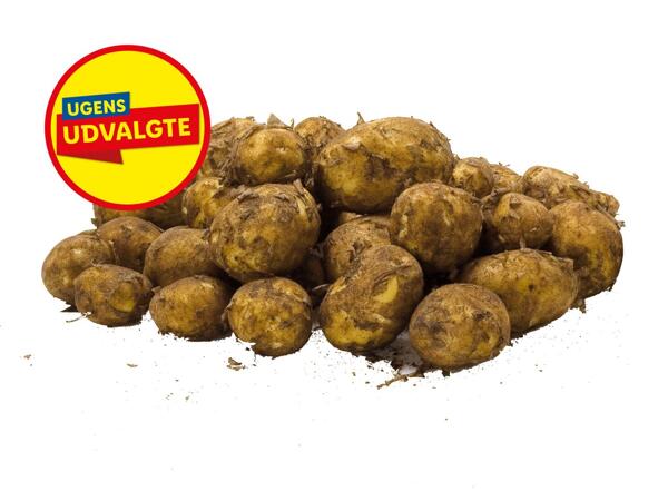 Danske Vildmosekartofler