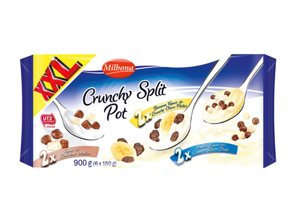 Yogourt au chocolat à deux compartiments