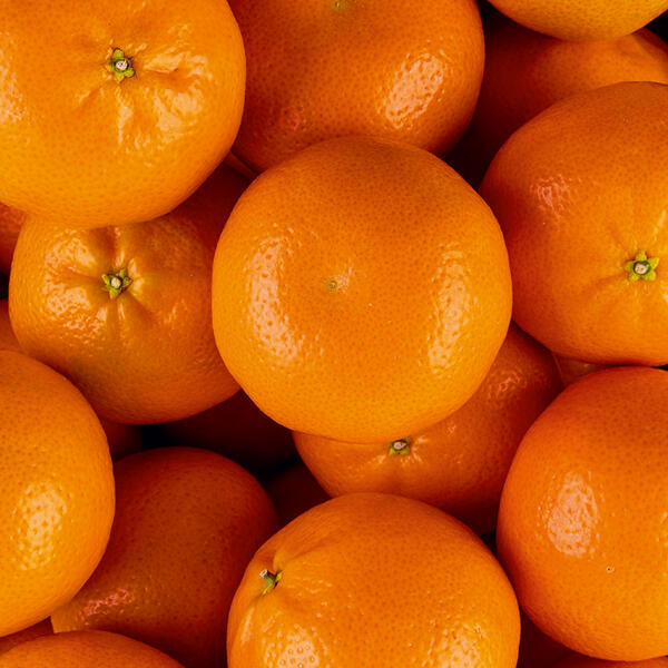 Saft-Mandarinen