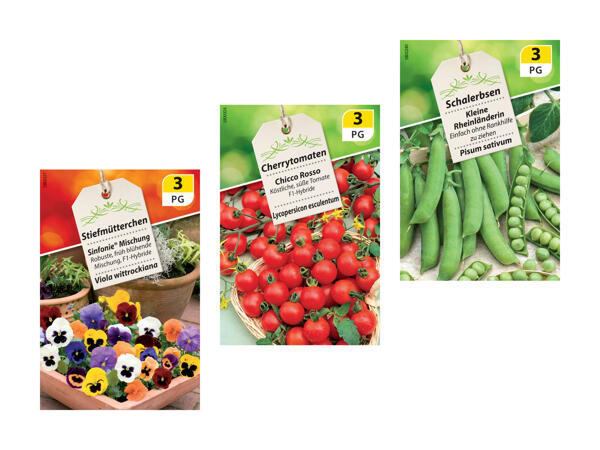 Hybrides F1/légumineuses