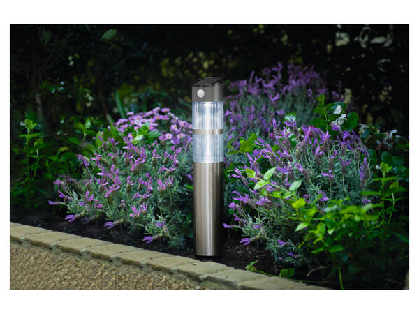LED Solar Garden Light