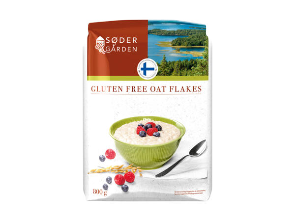 Fiocchi d'avena