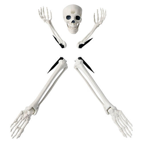 5 Piece Groundbreaker Skeleton Set